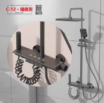 Gray Aluminum Shower Set C-12